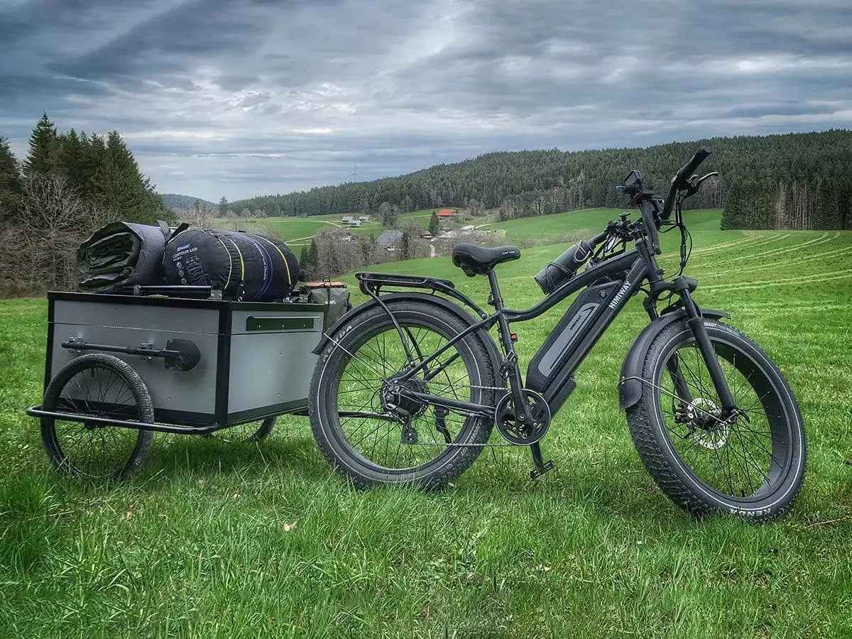 himiway cruiser all terrain elektrofahrrad D3(Cruiser) / Long Range Fat Tire Electric Bike