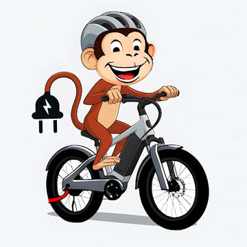 eBike Review | Himiway Zebra D5 Pro Mid-Drive