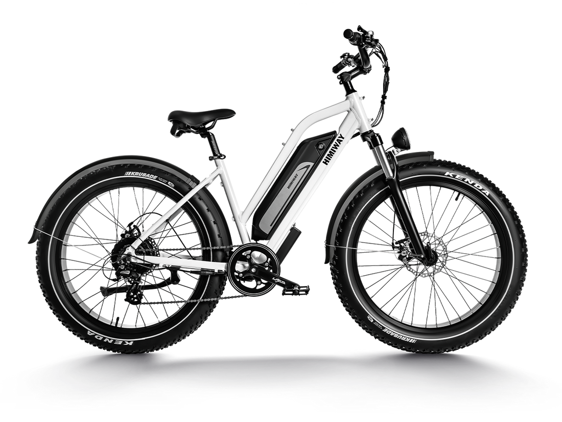 Himiway D3 ST (Cruiser ST) | All Terrain Step Thru Electric Bike