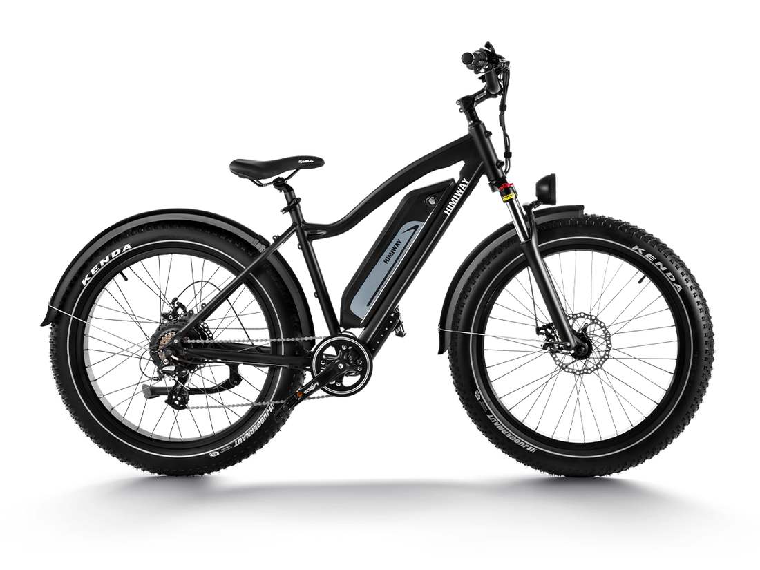 Himiway D3 (Cruiser) | Long Range Fat Tire Electric Bike