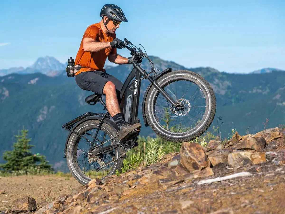 himiway electric bicycle D3(Cruiser) / Long Range Fat Tire Electric Bike