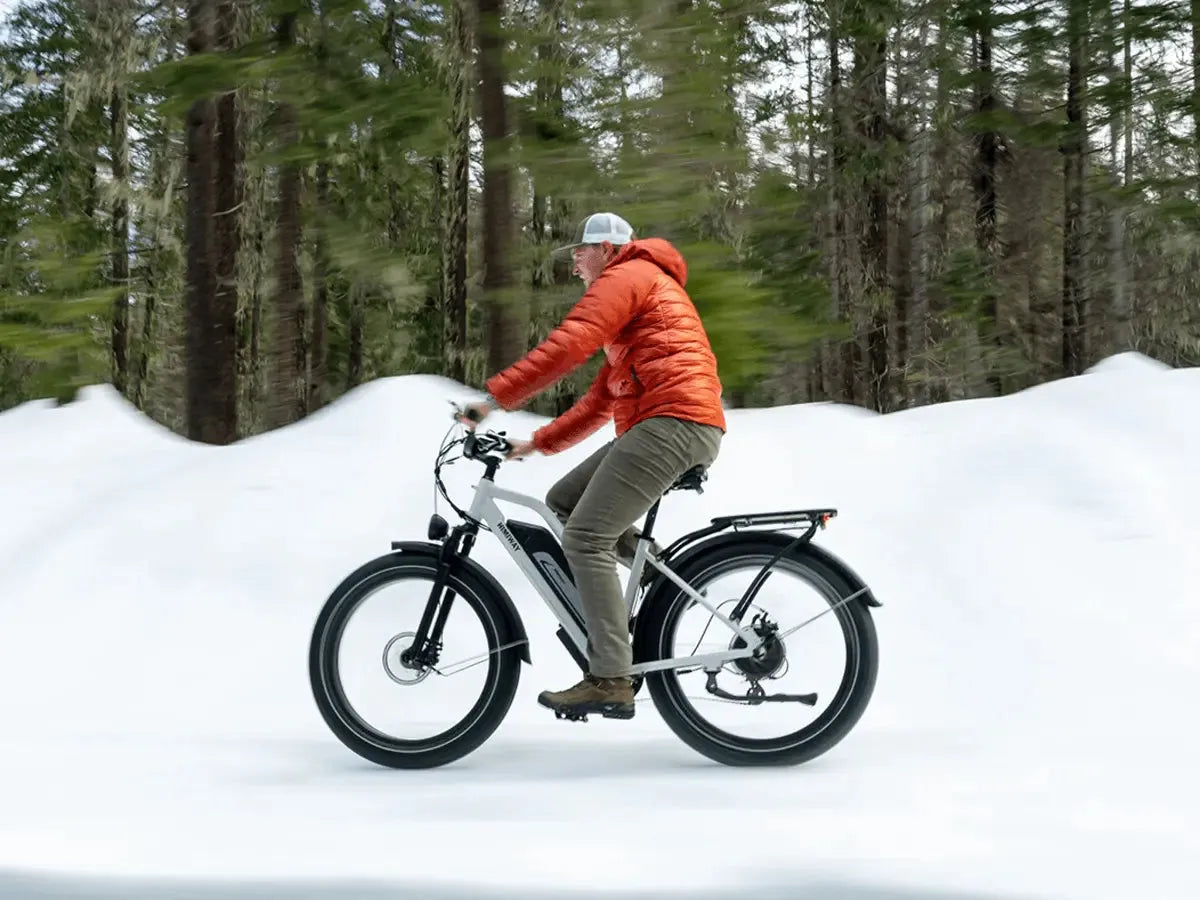 himiway cruiser all terrain elektrofahrrad D3 ST(Cruiser ST) / All Terrain Electric Bike