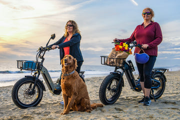 Himiway D5 2.0 20" eBike
