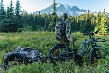 Himiway D5 2.0 Camo eBike