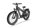 Dual Battery Off-road Electric Bike Rhino(D5 Plus/ D5 Ultra)