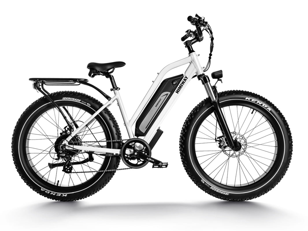 Himiway D5 (Zebra) | Premium All-terrain Electric Fat Bike