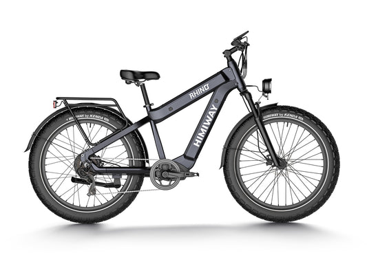 Dual battery all terrain electric bike