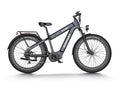 dual battery off-road mid-drive d electric bike