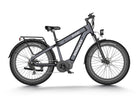 dual battery off-road mid-drive d electric bike
